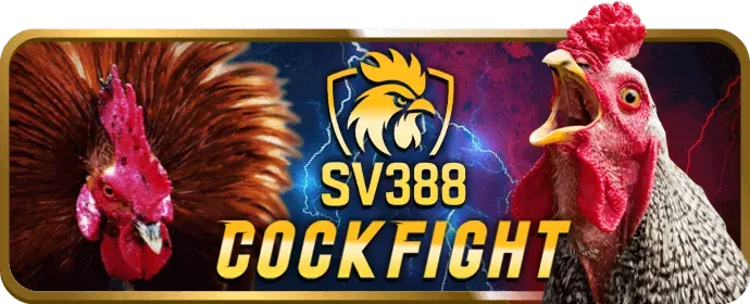 Cá cược thể thao 99win55 nhà cái